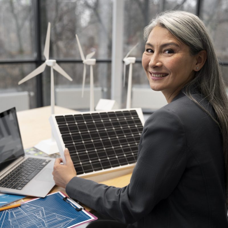 business-person-planning-alternative-energies